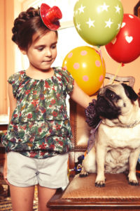Girl with Party hut and stylish pug with balloons Girl with Party hut and stylish pug with balloons